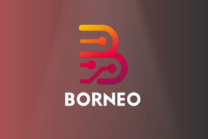 Borneo Schematics License [ 1Pc New-Renew / 3 Months] Activition Code