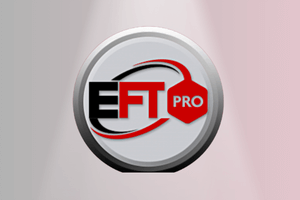 EFT pro tool activation - 1 year (No Need Dongle) instant 