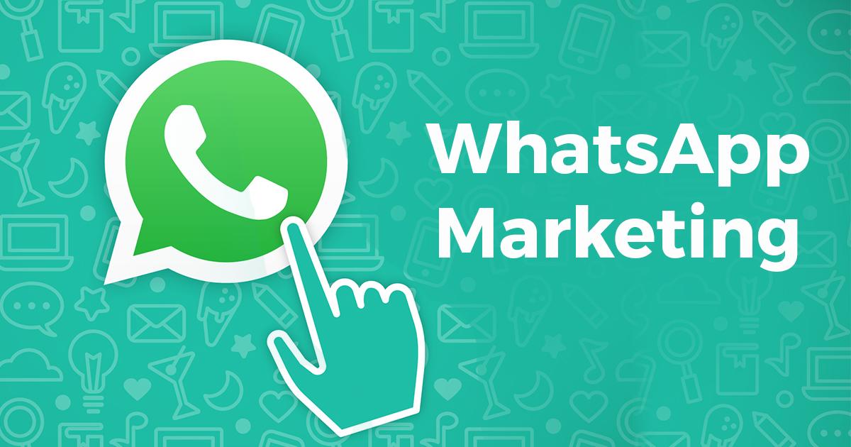 WA Message Group Sender + WhatsApp Auto Reply Bot ( 1 PC ) Lifetime